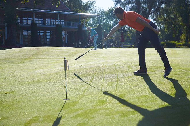 Robert Hamster Putting Lesson