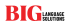 BIG Language Solutions's logo