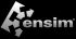 Ensim's logo