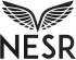 National Energy Services Reunited's logo