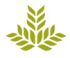 Northeast Georgia Health System's logo