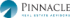 Pinnacle Real Estate Advisors's logo