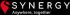 Synergy Global Housing's logo