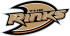 The Rinks's logo