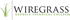 Wiregrass Georgia Technical College's logo