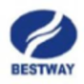 Bestway Marine & Energy Technology - company logo