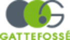 logo for Gattefossé