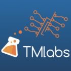 Ben Griggs - Executive Director at TMLabs and ServiceNow Architect - TMLabs