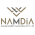 Namdia Logo