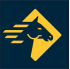 Paladin Security Group's logo