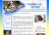 Capalaba Cat Cottage Zoominfo Com