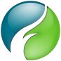 Firespring's logo