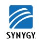 Synygy's logo