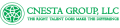 The Cnesta Group Logo