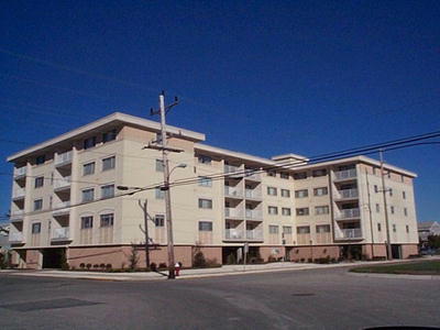 8001 2nd Avenue, Stone Harbor, NJ