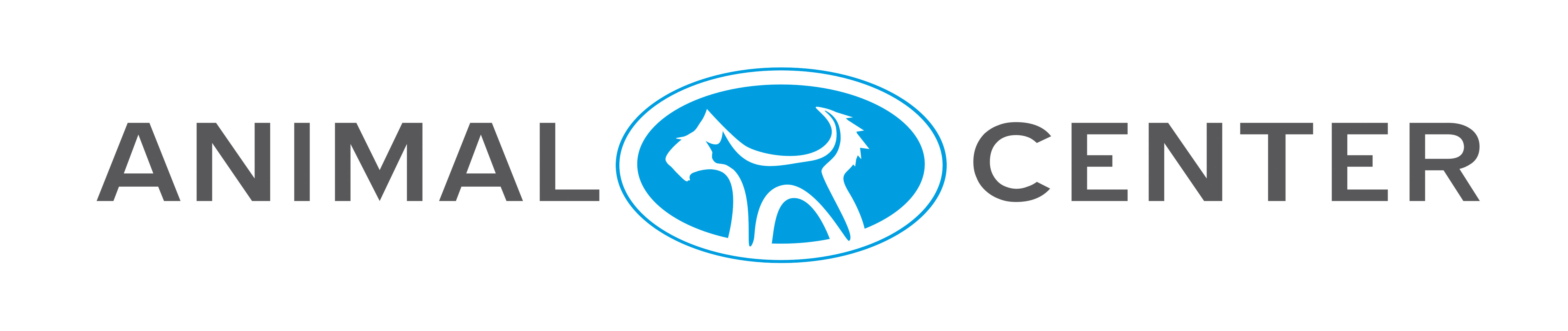 Idea animal care center. Animal centre. Animal centre. Hollywood animal. Rspca в бервуд-ист проект.
