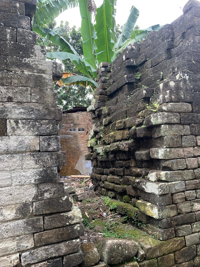 image11.jpg