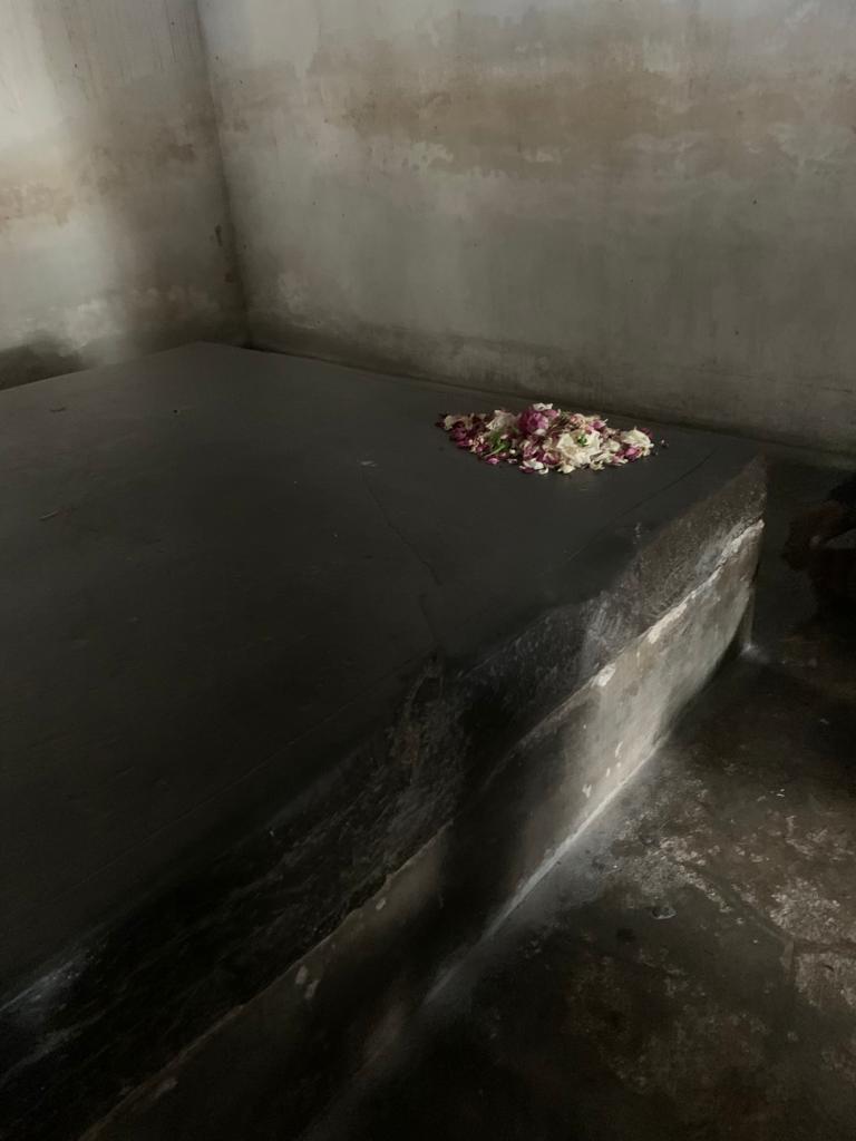 image7.jpg