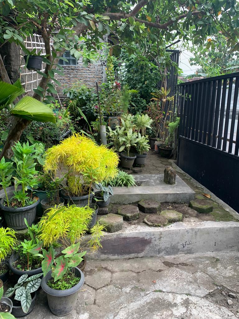 image3.jpg