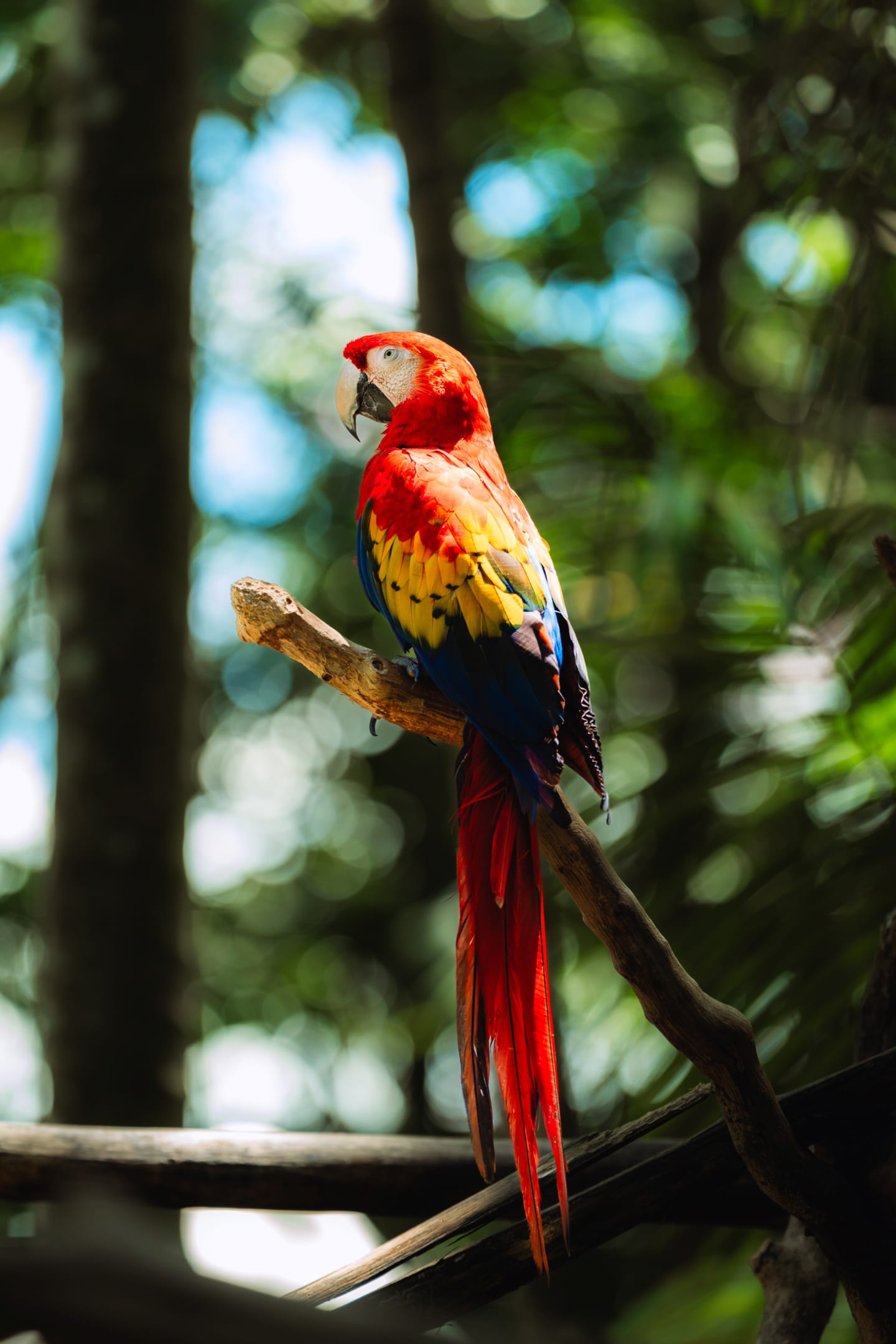 Nature photograph by Park Photography