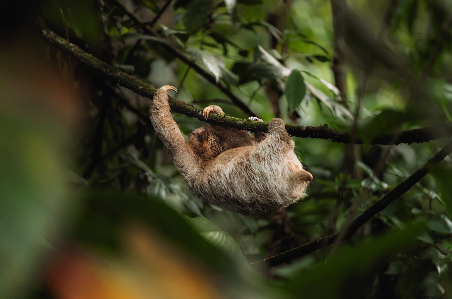 Nature photograph by Park Photography