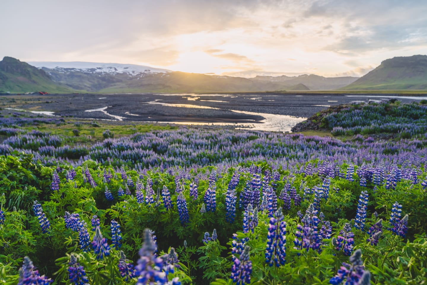 Nature photograph by Park Photography