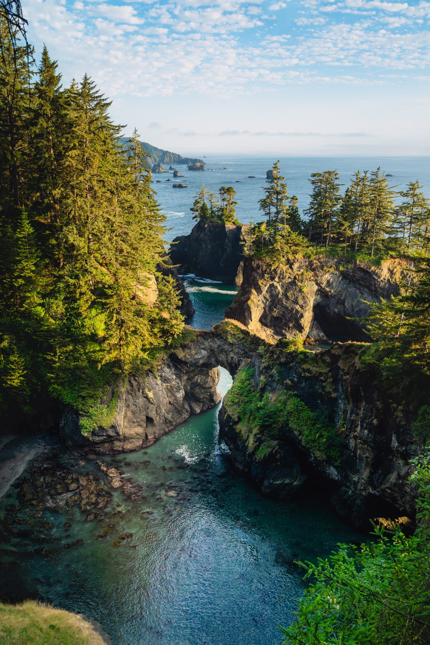Nature photograph by Park Photography