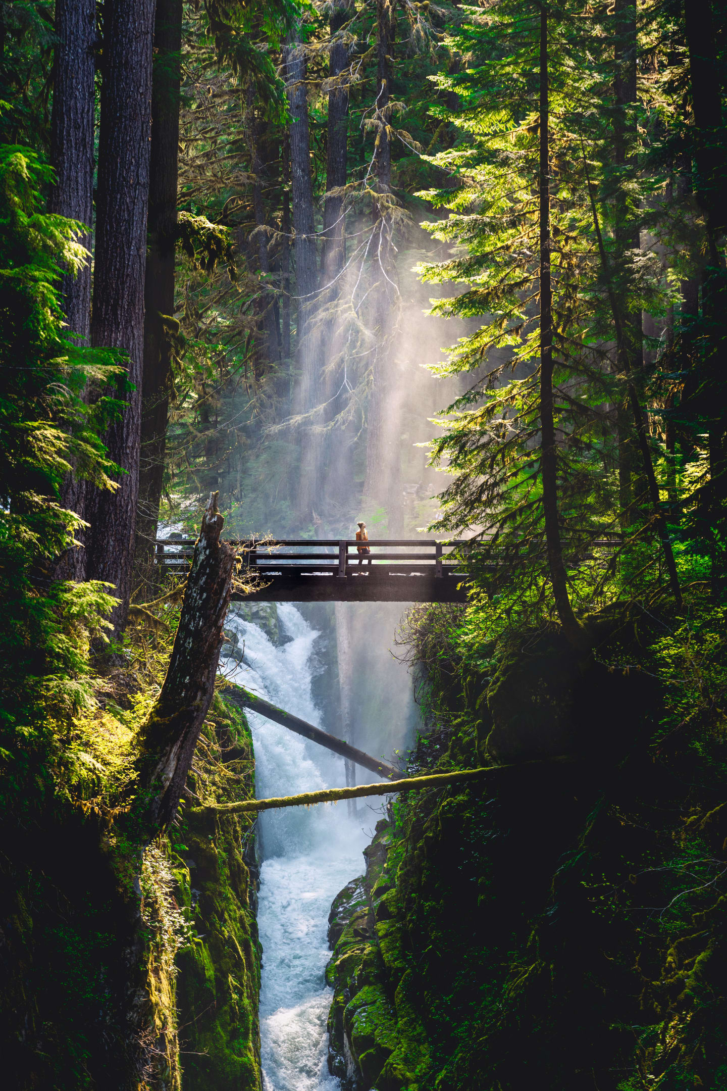 Nature photograph by Park Photography