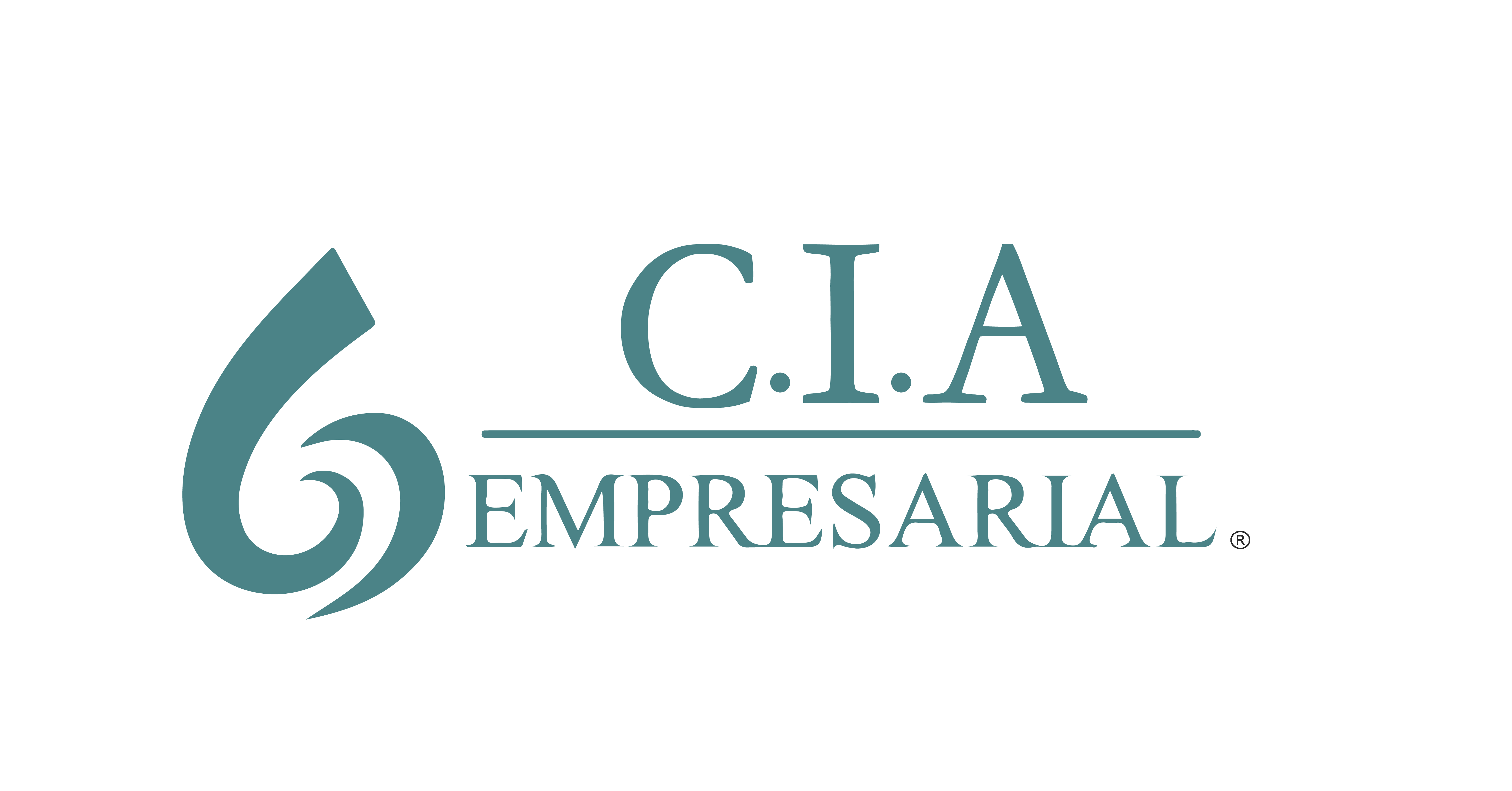 Logo 6CIAS Inteligencia Empresarial