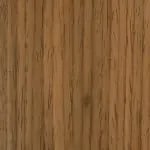 Italian Elm