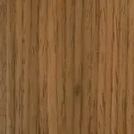 Italian Elm