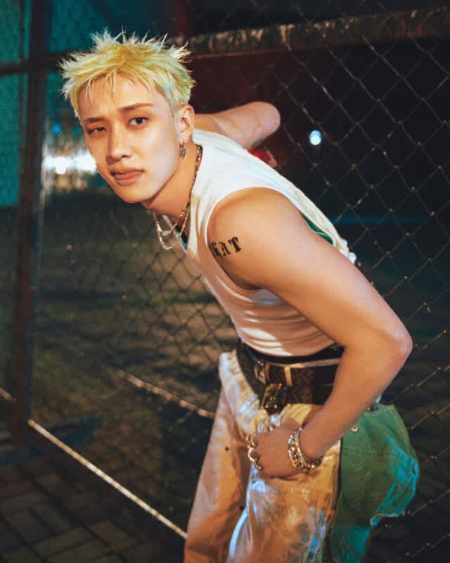 Bang Chan (방찬), Stray Kids üyesi