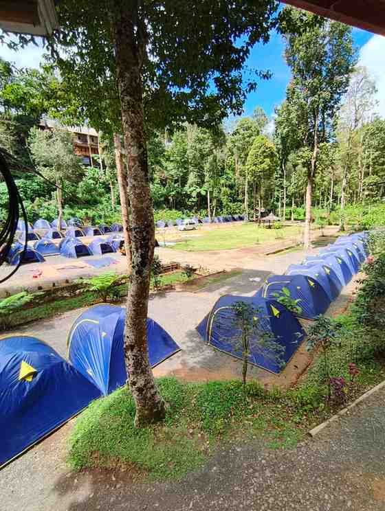 Pelatihan dan Pendidikan