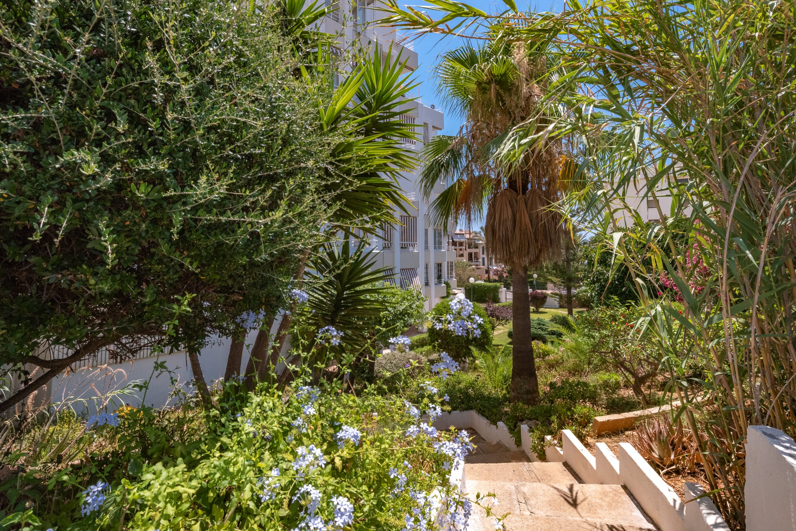Fully Renovated Apartment in Puerto Portals