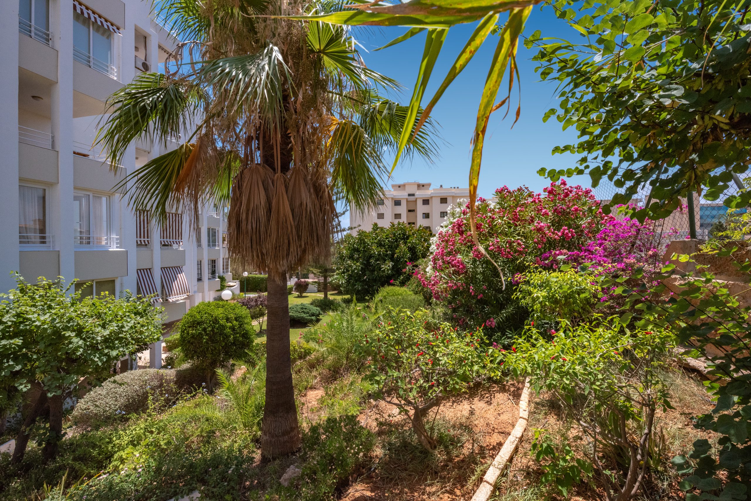 Fully Renovated Apartment in Puerto Portals