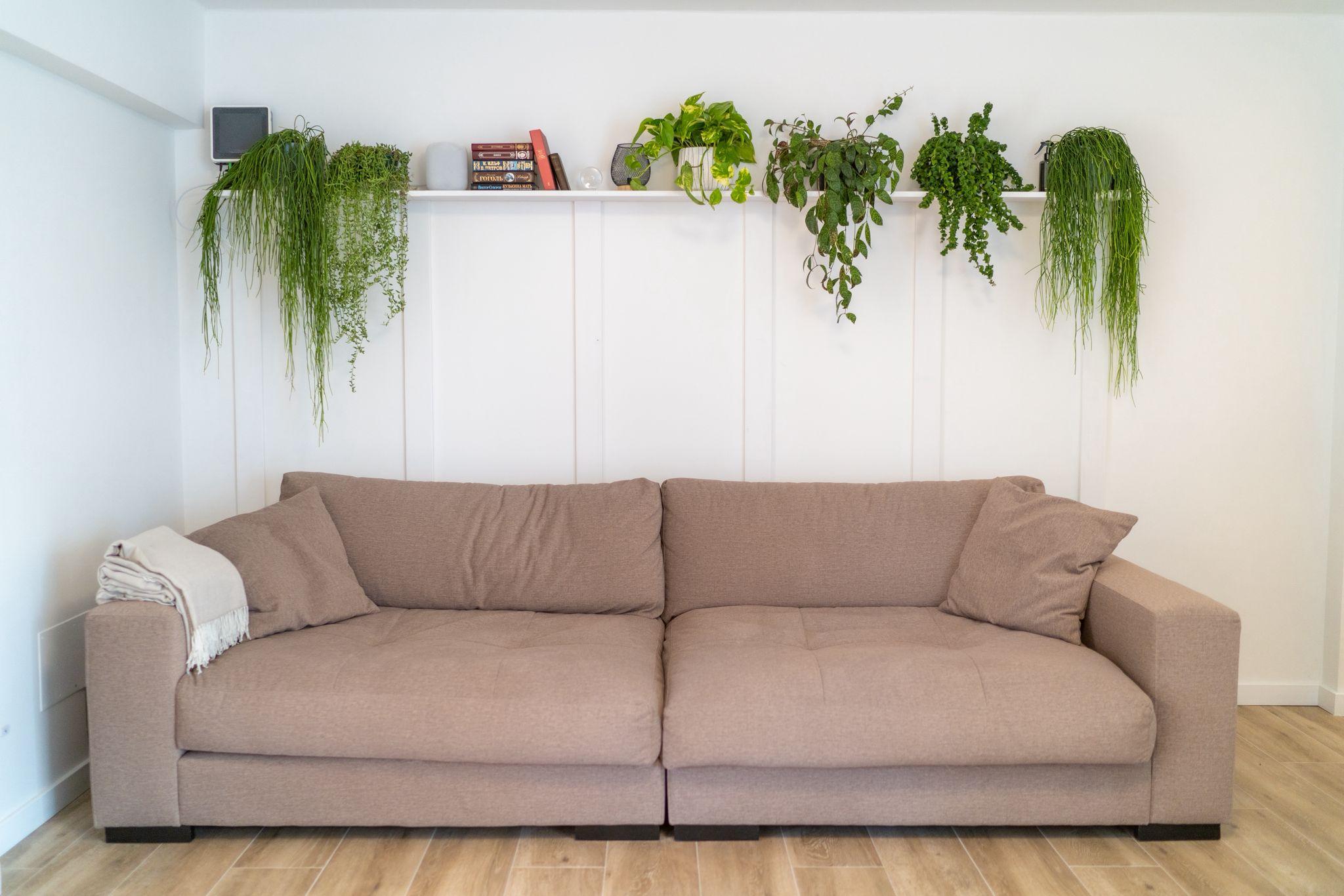 Bright ground floor apartment interior, recently renovated