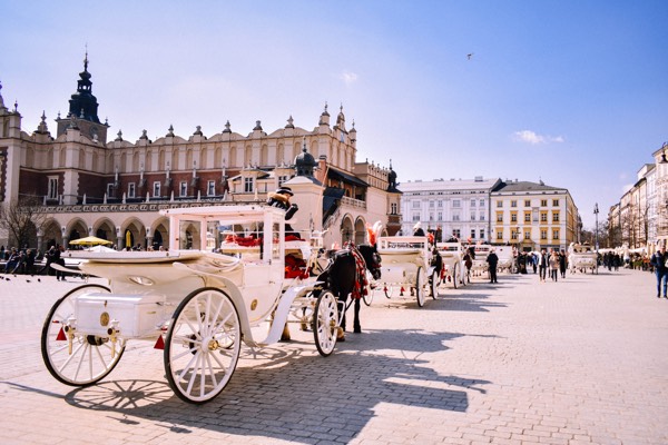 Studera i Krakow