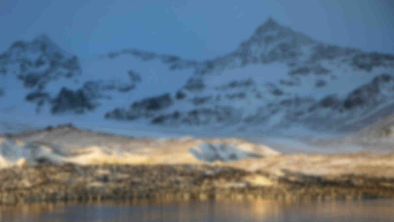 South Georgia and South Sandwich Islands