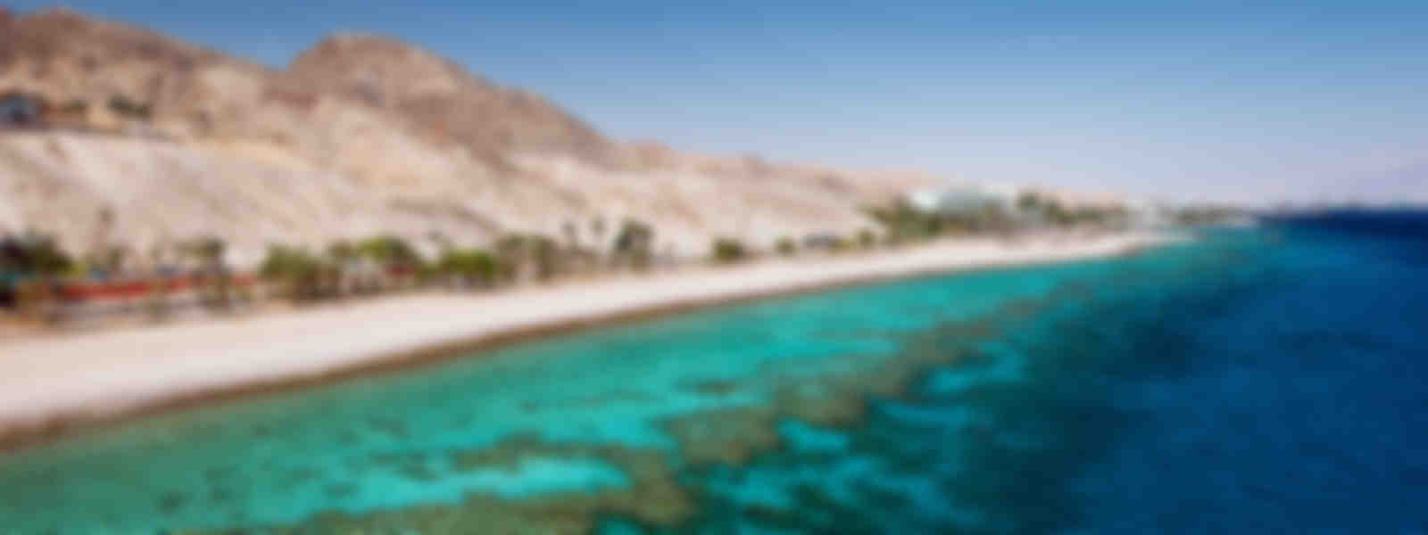 Best places in Egypt for resort-based diving