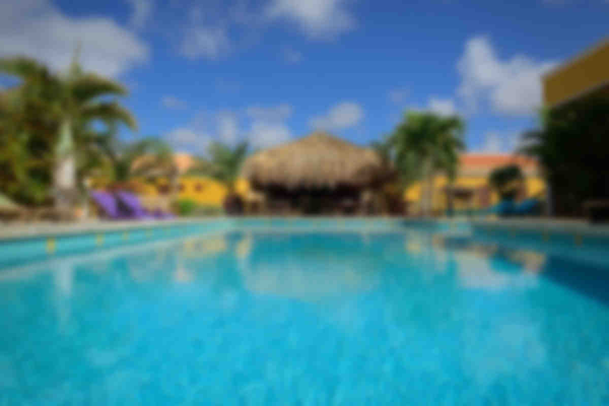 Djambo Bonaire