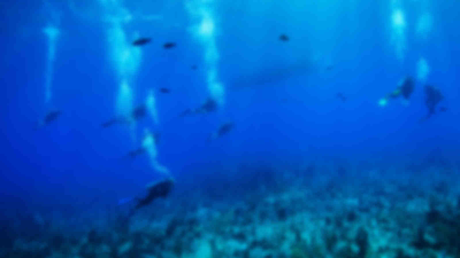 Little Cayman and Cayman Brac