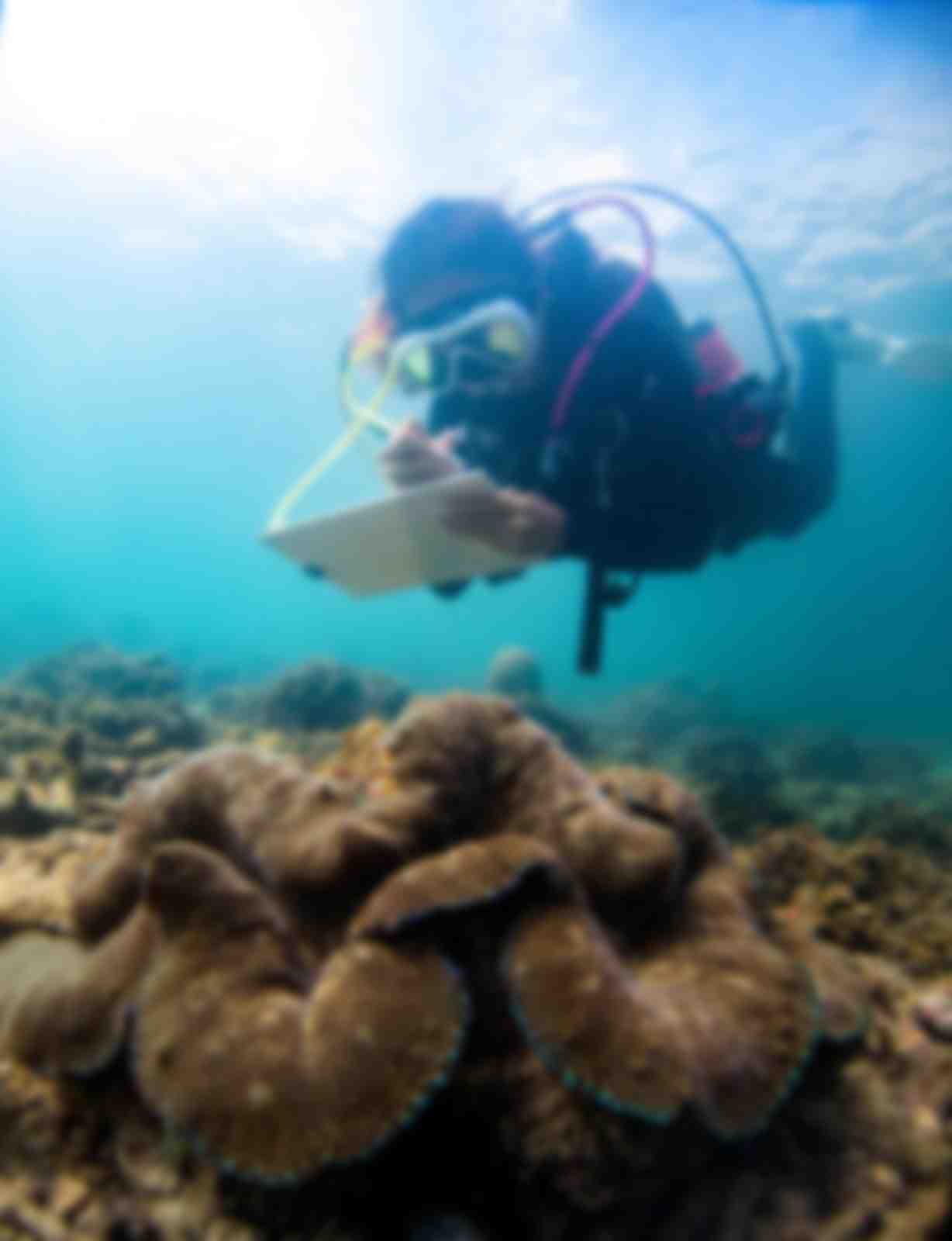 Aow Thai Marine Ecology Center (ATMEC)