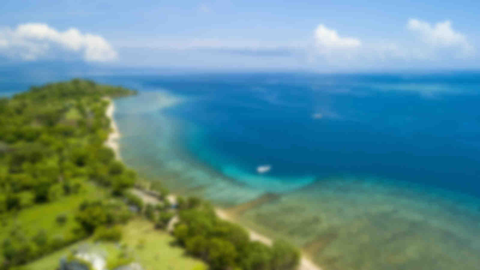 Pemuteran and Menjangan
