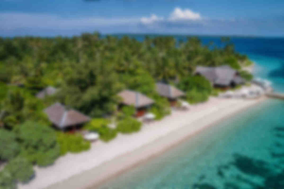 Wakatobi Resort