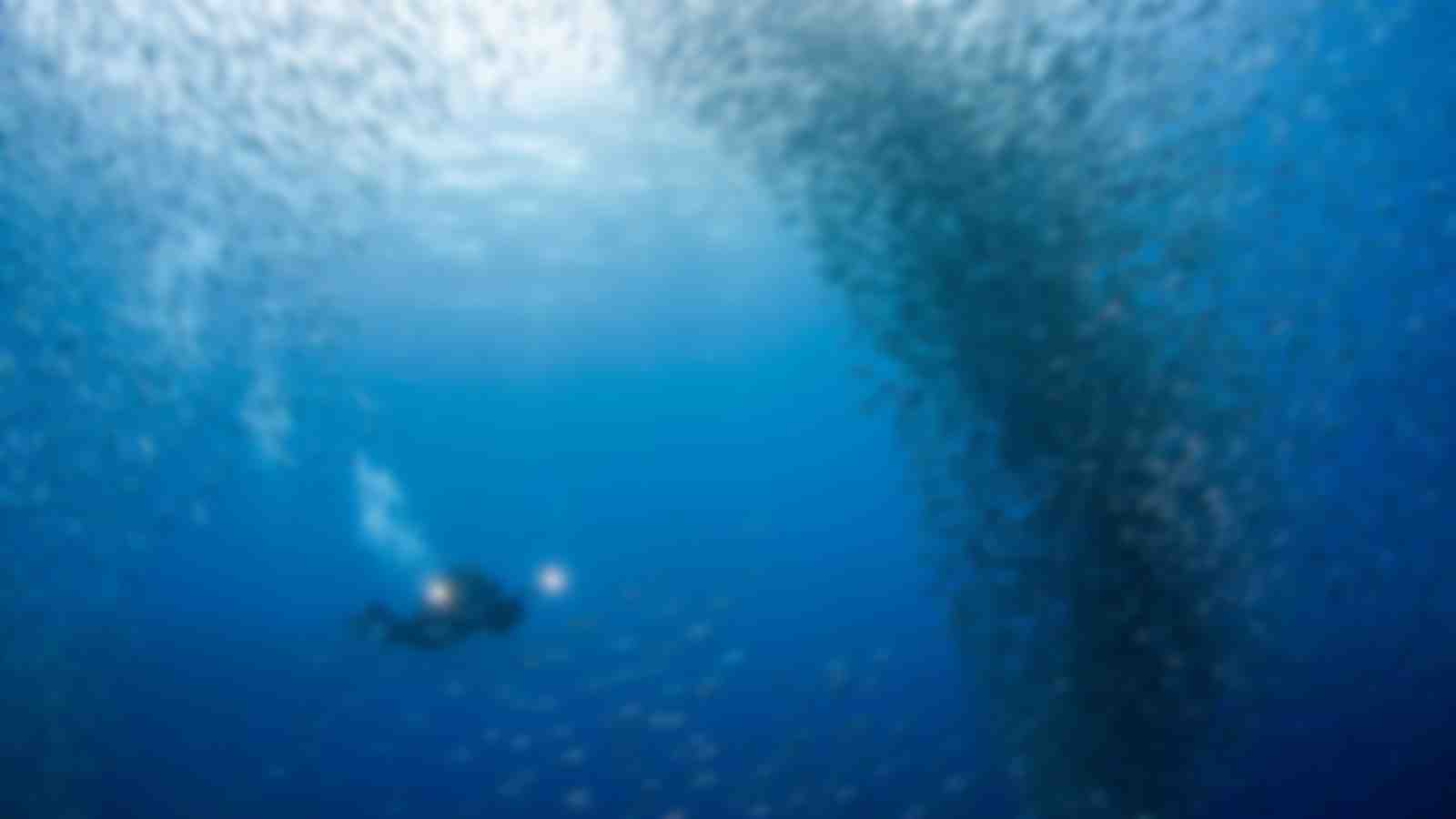 Scuba Diving In Moalboal Zublu