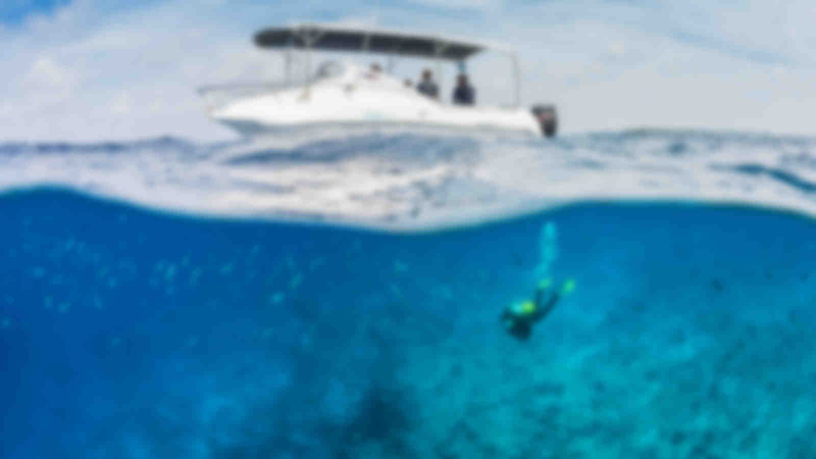 Alphonse, Desroches and the Amirante Islands
