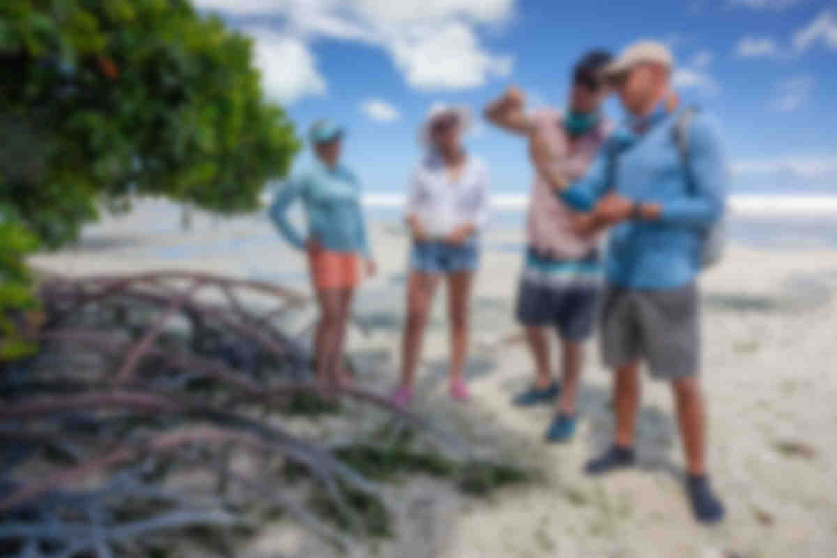 Alphonse Island Lodge