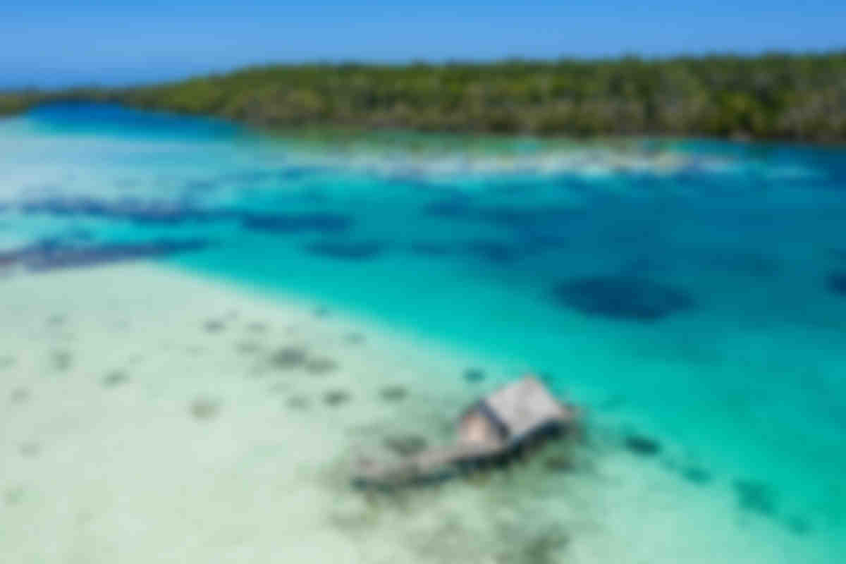 Book your next scuba diving holiday