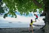 Murex Manado Sulawesi Indonesia 9