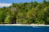 Cenderawasih Bay Papua Indonesia Diving 13